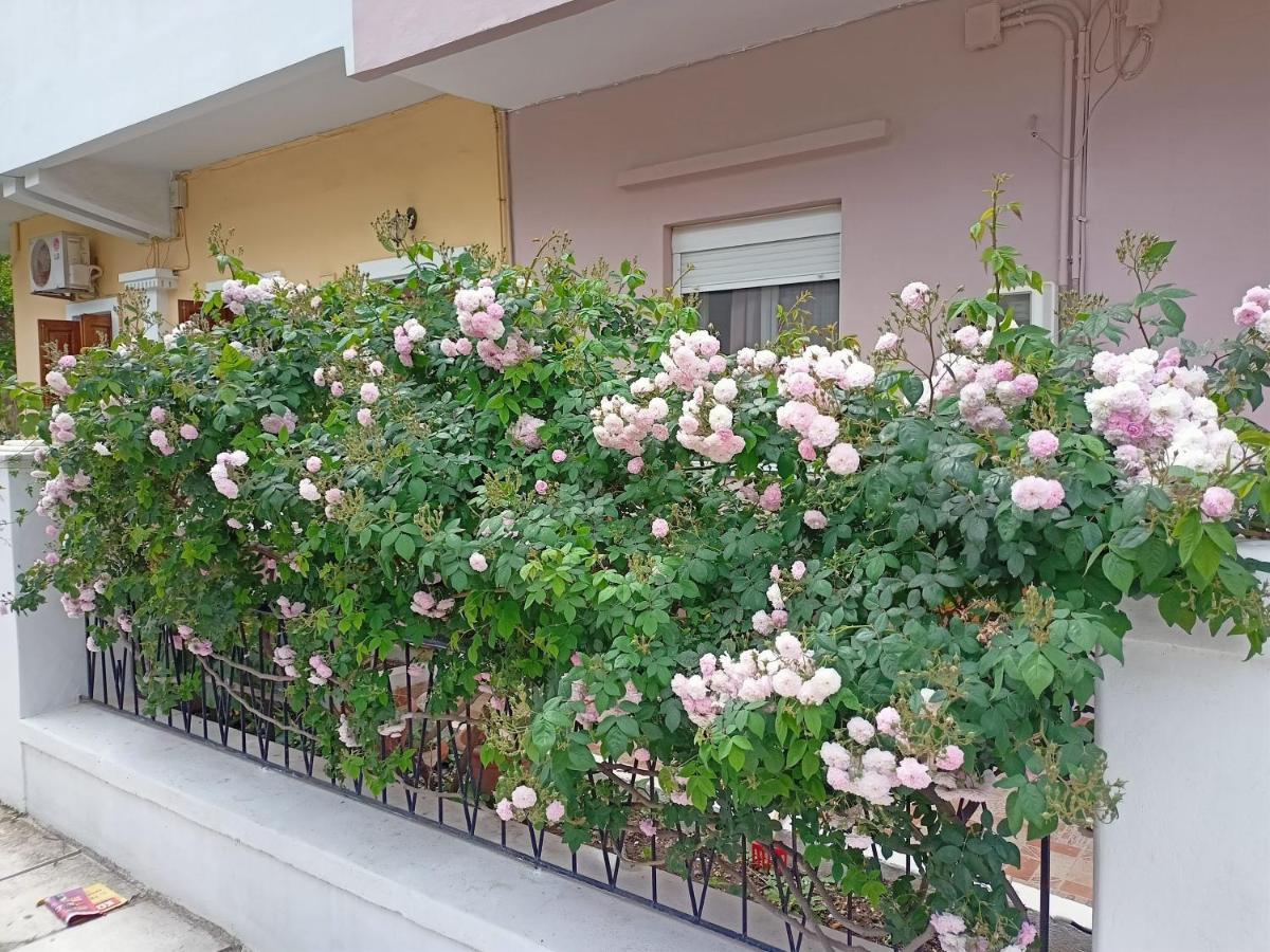 Family House Kos Down Town Διαμέρισμα Εξωτερικό φωτογραφία